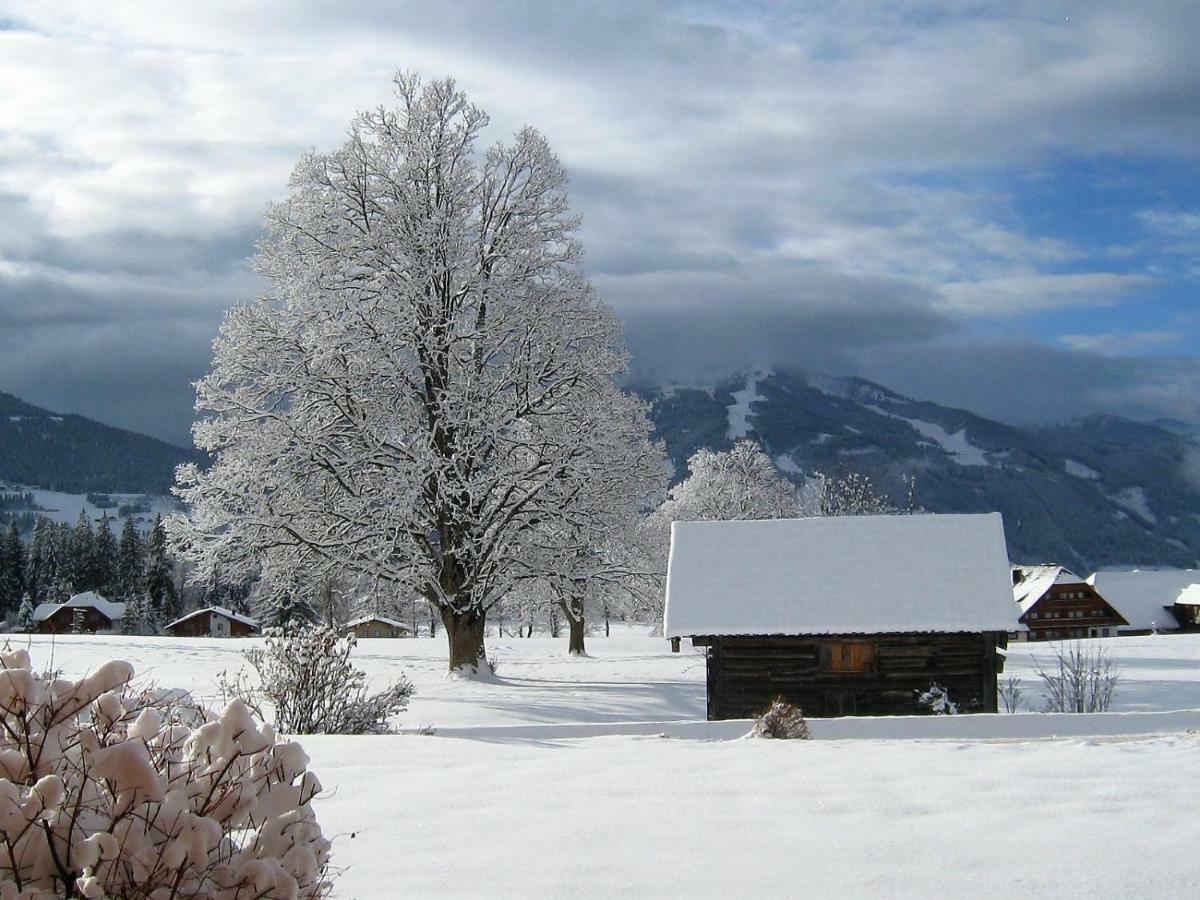 Blockhaus Royer Lägenhet Ramsau am Dachstein Exteriör bild