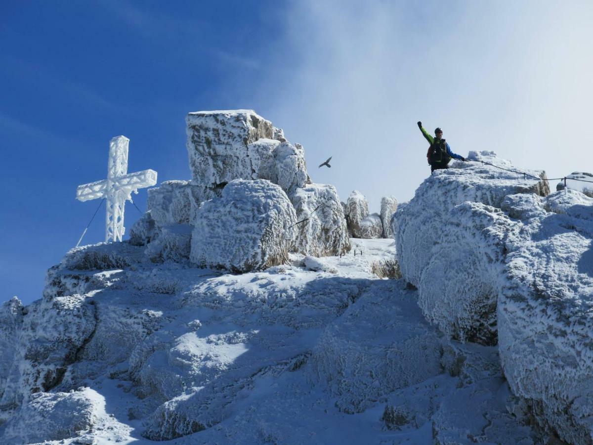 Blockhaus Royer Lägenhet Ramsau am Dachstein Exteriör bild